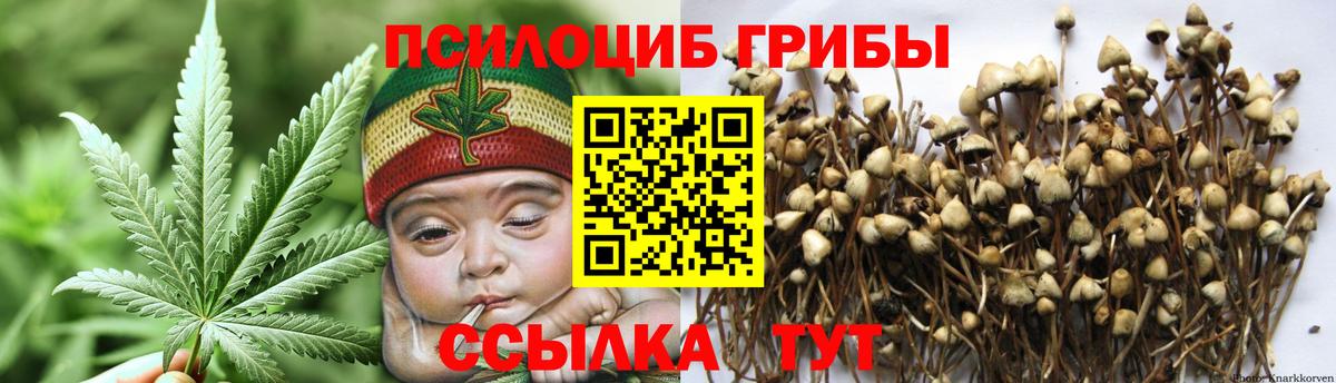 Псилоцибиновые грибы ЛСД  Вход с VPN  закладка  Псилоцибиновые грибы Magic Shrooms  Курчатов 