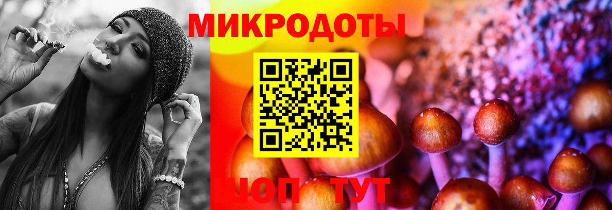 Бошки Шишки Курчатов