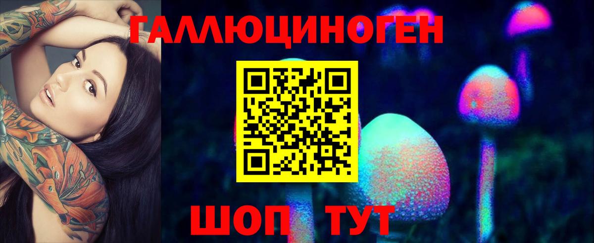 Галлюциногенные грибы Psilocybine cubensis Курчатов